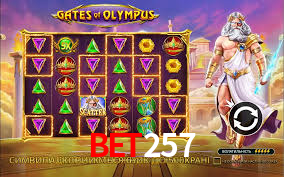 Premium Interface bet257